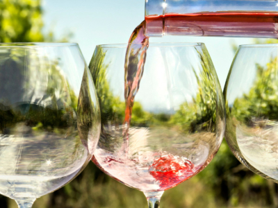 Como é que o terroir influencia o sabor do vinho? 